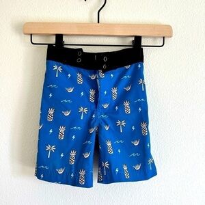 Modern Keiki Hawaii Swim Trunks